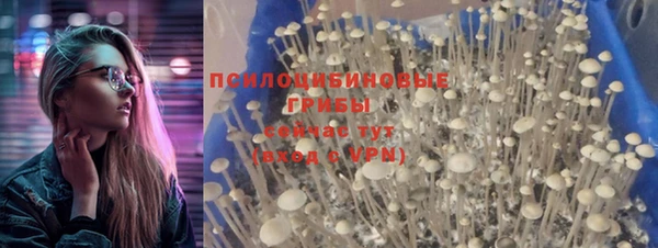 МДПВ Михайловка