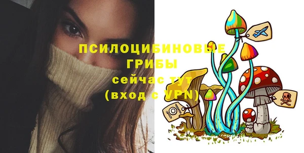 spice Михайловск