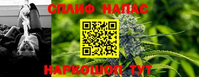гидра Бийск