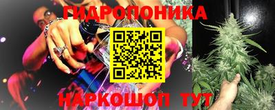 гидра Бийск