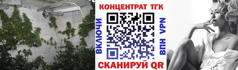 ТГК гашишное масло  дарнет шоп  Егорьевск 