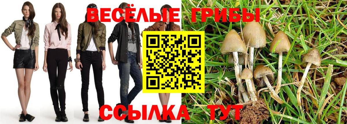 Галлюциногенные грибы Cubensis  как найти закладки  Егорьевск  Псилоцибиновые грибы GOLDEN TEACHER 